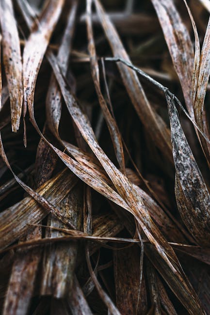 A vibrant red apple with a single green leaf attached to its stem, placed on a rustic wooden table
